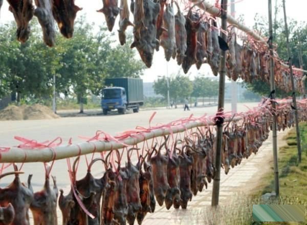 5 đặc sản không dành cho người yếu tim ở miền Tây Khô chuột với cách sơ chế khá cầu kỳ