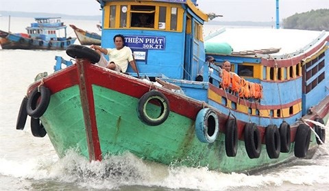 Sởn gai ốc theo chân những cao thủ săn cá mập “Sát thủ” cá mập Sáu Kén ở Phú Quốc
