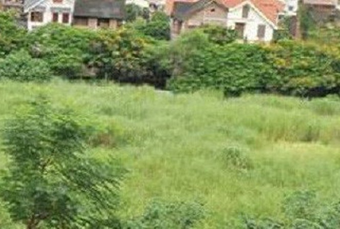 Phó Thủ tướng phê bình Hà Nội ra quyết định thu hồi đất trái quy định Phó Thủ tướng phê bình Hà Nội ra quyết định thu hồi đất trái quy định