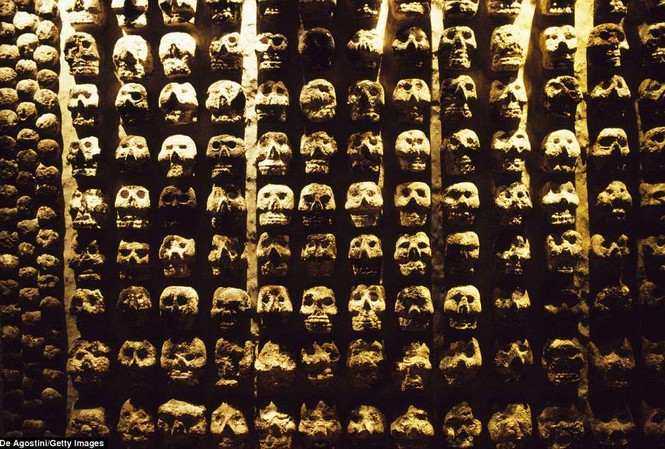 Đã có 676 chiếc sọ được tìm thấy trong cuộc khai quật và con số này được dự đoán sẽ tiếp tục tăng. 