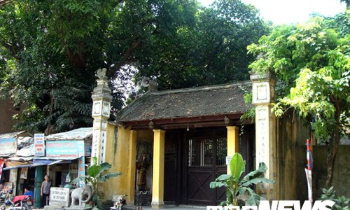 Bí ẩn sự ‘đột tử’ liên tục của 8 ‘cụ’ muỗm ngàn tuổi ở một ngôi đền tạ Đền Voi Phục - Thụy Khuê từng rợp bóng mát của những cây muỗm ngàn năm tuổi. Ảnh: Phạm Dương Ngọc