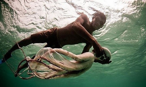 Biệt tài kinh ngạc của bộ tộc 'người cá' không quốc tịch “Người cá” Bajau có thể lặn sâu 70m không cần bất kỳ thiết bị bảo hộ nào