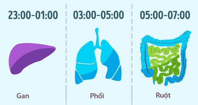 Những thói quen đơn giản giúp bạn sống lâu Những thói quen đơn giản giúp bạn sống lâu