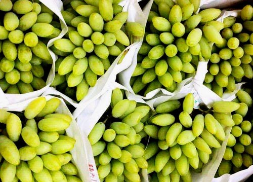 Nho ngón tay vàng Nhật Bản giá hơn 1,5 triệu mỗi kg Nho ngón tay Nhật Bản được bán ở TP HCM.