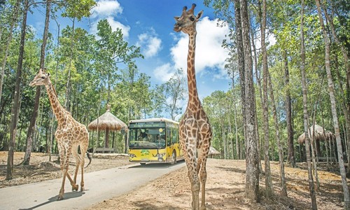 Hé lộ ‘bom tấn’ thứ 2 – Công viên vui chơi tại Gia Lâm của Vingroup Với Vinpearl Land Gia Lâm du khách sẽ khám phá thế giới tự nhiên trên xe lội nước hiện đại thay vì đi ô tô như tại Vinpearl Land Phú Quốc
