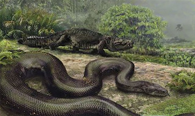 Quái vật rắn khổng lồ Titanoboa vẫn còn sống ở rừng Amazon? Rắn khổng lồ Titanoboa được cho vẫn còn sống trong rừng rậm Amazon.