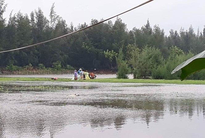 Thanh Hóa: Hàng trăm ngôi nhà bị ngập trong nước Mưa ngập lụt nhiều diện tích lúa, hoa màu, nhà ở tại huyện Tĩnh Gia