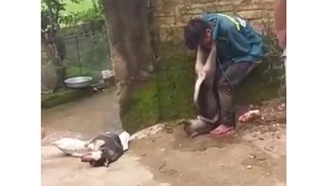 Tin mới vụ trộm chó bị người dân đánh hội đồng, treo chó vào cổ Đối tượng bị người dân bắt giữ
