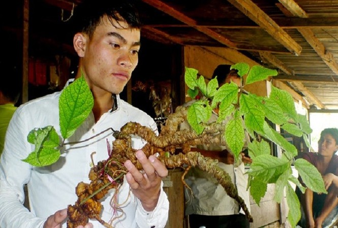 Xuất hiện nhiều tỷ phú 'trăm tỷ' ở Quảng Nam Xuất hiện nhiều tỷ phú 'trăm tỷ' ở Quảng Nam