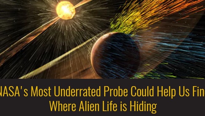 NASA: Có thể tìm thấy sự sống của người ngoài hành tinh Những dữ liệu quý giá thu thập từ sao Hỏa sẽ giúp các nhà khoa học truy tìm các hành tinh khác có tồn tại sự sống. Ảnh: NASA