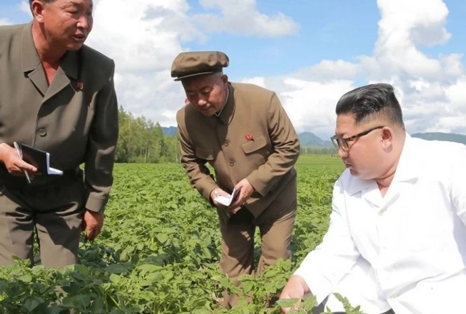 Bảy ngày vắng mặt bí ẩn của ông Kim Jong-un Ông Kim Jong-un bận đi thăm trang trại khoai tây ở tỉnh giáp biên giới Trung Quốc và là lý do khiến ông không đón tiếp Ngoại trưởng Mỹ Mike Pompeo. Ảnh: AFP