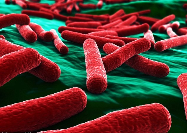 Phát hiện mới: Vi khuẩn E. coli có thể ngăn thiếu máu Bên cạnh những vi khuẩn E.coli gây ra bệnh đường ruột,thì hầu hết chúng lại có lợi.