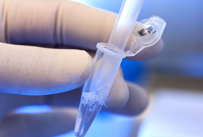 Trung Quốc: Vụ chỉnh sửa gen ngừa HIV gây tranh cãi gay gắt Việc chỉnh sửa gen được cho là phi đạo đức và nguy hiểm.