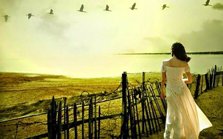 Hậu ngoại tình: Đàn ông về nhà, đàn bà đi luôn Ảnh minh họa: Internet