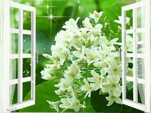 Nhật ký 5 năm làm dâu Ảnh minh họa: Internet