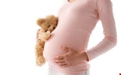Phụ nữ mang thai làm gì để không bị lây nhiễm virus Zika? Ảnh minh họa: Internet