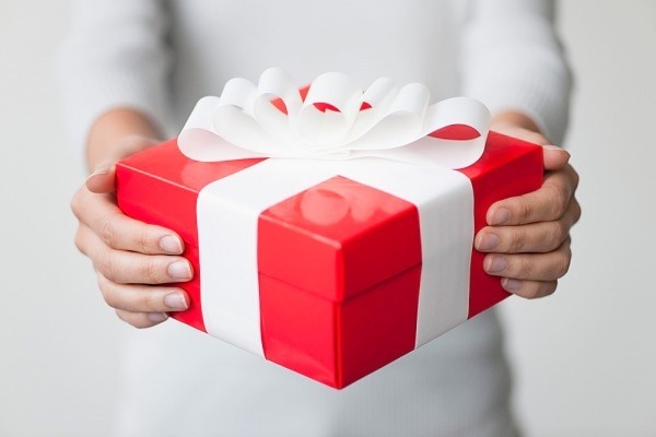 Chiếc túi xách Ảnh minh hoạ: Internet