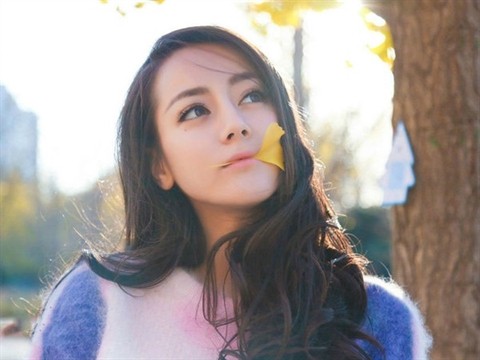 Vợ nằng nặc đòi ly hôn để chung sống “đền ơn” ân nhân cứu mạng Ảnh minh hoạ: Internet