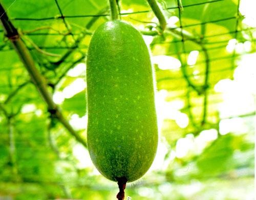 Những món ăn làm ấm cơ thể vào buổi sáng Ảnh minh hoạ: Internet