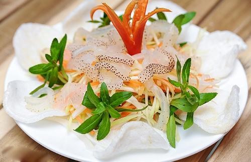 Thuốc quý chữa loét dạ dày Ảnh minh hoạ: Internet