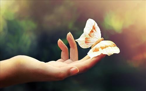 Những vị trí không ngờ có thể bị ung thư da Tia cực tím là nguyên nhân chính gây nên căn bệnh này. Do đó, nhất thiết người dân phải thực hiện các biện pháp chống nắng để bảo vệ da, tránh nguy cơ gây ung thư. Ảnh minh hoạ: Internet