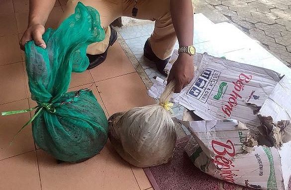 Bắt xe khách chở động vật hoang dã trái phép tại Quảng Nam Bắt xe khách chở động vật hoang dã trái phép tại Quảng Nam