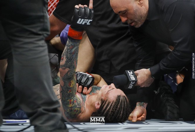 Sức chiến đấu phi thường của võ sỹ MMA Sức chiến đấu phi thường của võ sỹ MMA