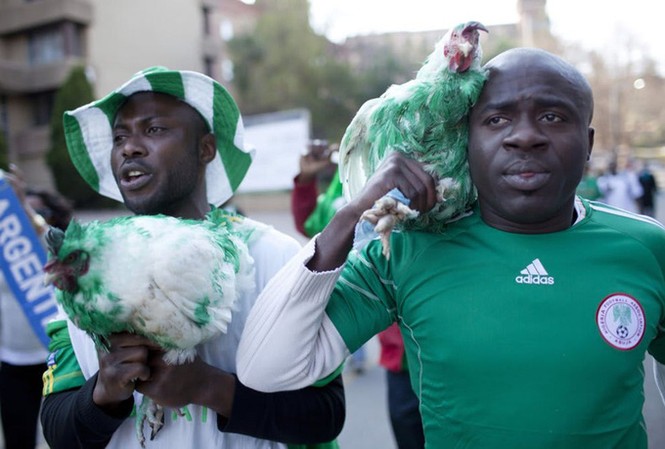 CĐV Nigeria bị cấm mang gà vào sân xem World Cup CĐV Nigeria bị cấm mang gà vào sân xem World Cup
