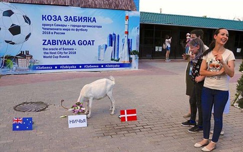 Dê tiên tri Zabiyaka 'gieo sầu' cho Uruguay Zabiyaka dự đoán đúng kết quả hòa giữa Úc và Đan Mạch ở lượt trận thứ 2 bảng C.