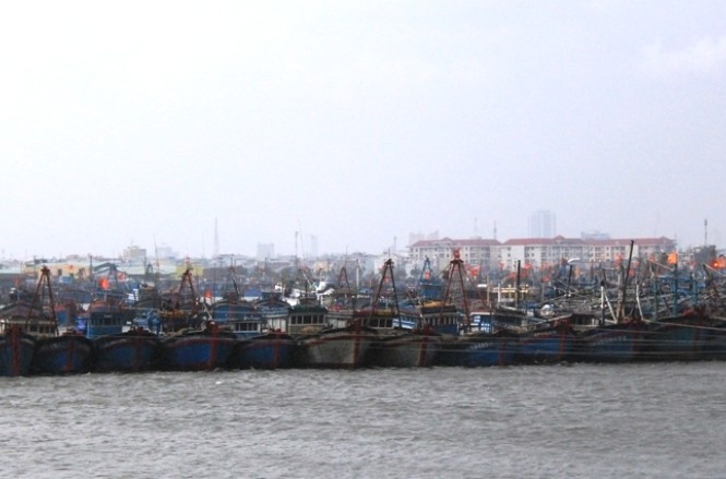 Khẩn trương kêu gọi tàu khu vực Hoàng Sa vào bờ tránh bão Tàu thuyền neo đậu tại Âu thuyền cảng cá Thọ Quang (Sơn Trà, Đà Nẵng) phòng tránh bão. Ảnh: Nguyễn Huy