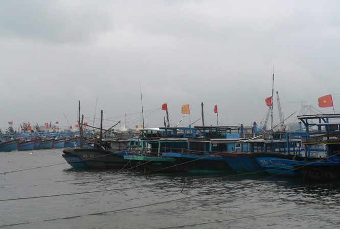 Hơn 44.000 tàu thuyền nhận tin bão số 2 Nhiều tàu cá đã neo đậu tránh bão.