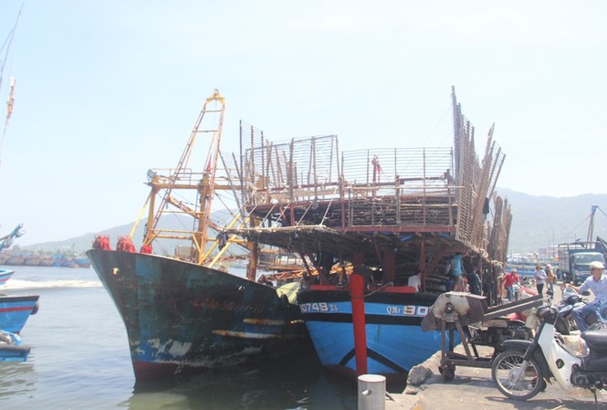 Bỏ ngang chuyến biển cứu tàu và 49 ngư dân gặp nạn Bỏ ngang chuyến biển cứu tàu và 49 ngư dân gặp nạn