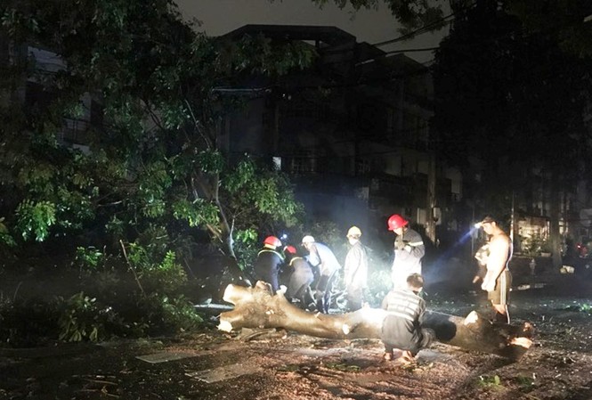 TPHCM: Mưa lớn khiến cây cổ thụ bật gốc đè dây điện, nhiều người hoảng loạn TPHCM: Mưa lớn khiến cây cổ thụ bật gốc đè dây điện, nhiều người hoảng loạn