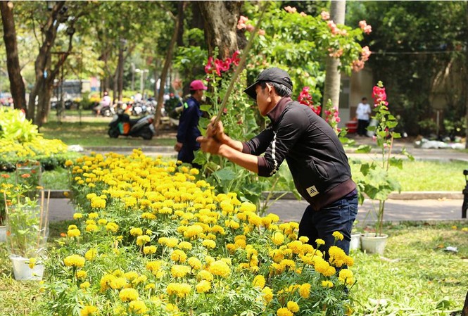 Tiểu thương đập nát hàng trăm chậu hoa ế chiều 30 Tết Hàng trăm chậu hoa cúc bị đập bỏ.