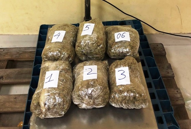 Triệt phá đường dây vận chuyển 57 kg cần sa từ Mỹ về Việt Nam Một lô cần sa bị thu giữ.