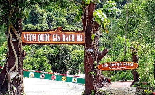 Bộ Xây dựng phản hồi ra sao về dự án cáp treo Bạch Mã? Bộ Xây dựng phản hồi ra sao về dự án cáp treo Bạch Mã?