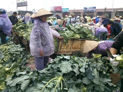 Rau xanh, thịt lợn ở chợ truyền thống Hà Nội tăng giá vì rét Tiểu thương tại chợ truyền thống hét giá rau xanh vì trời rét
ảnh: Ngọc Mai