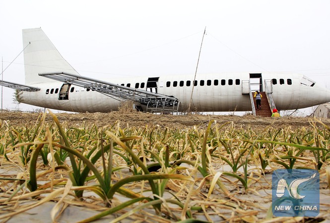 Lão nông chi nửa tỷ chế 'máy bay' Boeing 737 khổng lồ Lão nông chi nửa tỷ chế 'máy bay' Boeing 737 khổng lồ