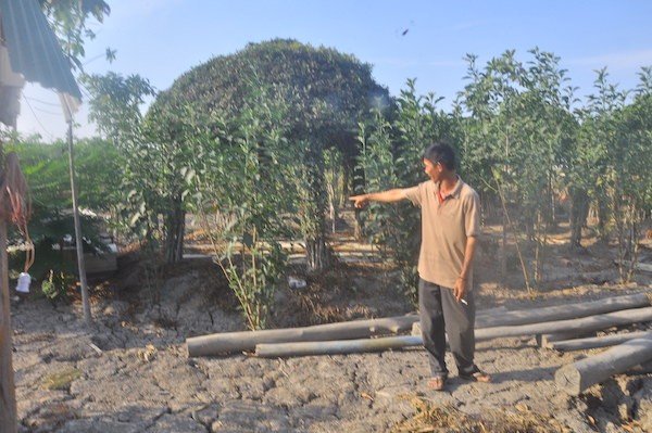 UBND huyện Bình Chánh nói phạt vụ chòi vịt là đúng luật Ông Nguyễn Văn Bỉ bên khu đất của mình, nơi cất chòi lá bị xử phạt và bị khởi tố. Ảnh Việt Văn