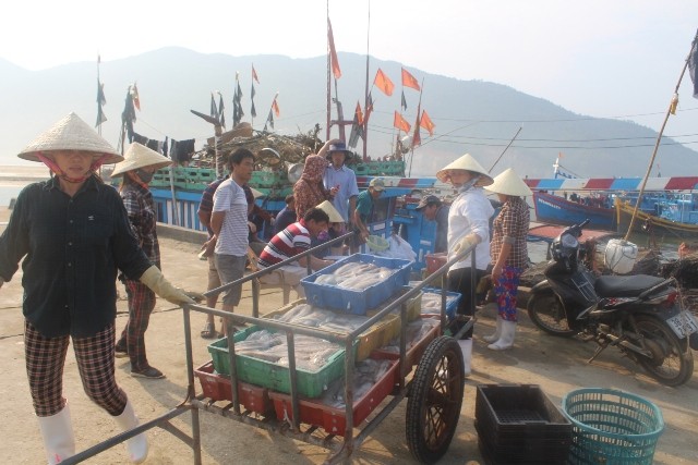 Đồng loạt khai trương điểm kinh doanh hải sản an toàn Sau khi có kết quả quan trắc, xét nghiệm cụ thể của các cơ quan chức năng, các cảng cá trên địa bàn Hà Tĩnh nhộn nhịp trở lại, người dân yên tâm bám biển.