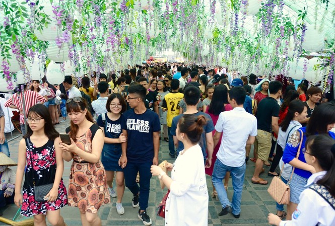 Dân Thủ đô thất vọng với hầm Tử đằng toàn... hoa nhựa Fuji Matsuri là lễ hội thường niên của Nhật Bản được tổ chức hàng năm vào giữa tháng 4 đến giữa tháng 5 nhằm tôn vinh loài hoa Tử Đằng, biểu tượng của tình yêu vĩnh cửu, và tình đoàn kết bác ái.