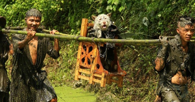Lạ lẫm lễ hội người rước chó ngồi kiệu như ông hoàng Lạ lẫm lễ hội người rước chó ngồi kiệu như ông hoàng