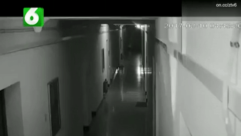 Bị bạn cùng phòng cầm dao đuổi, đâm trọng thương vì... ngáy to Hình ảnh cắt từ clip.