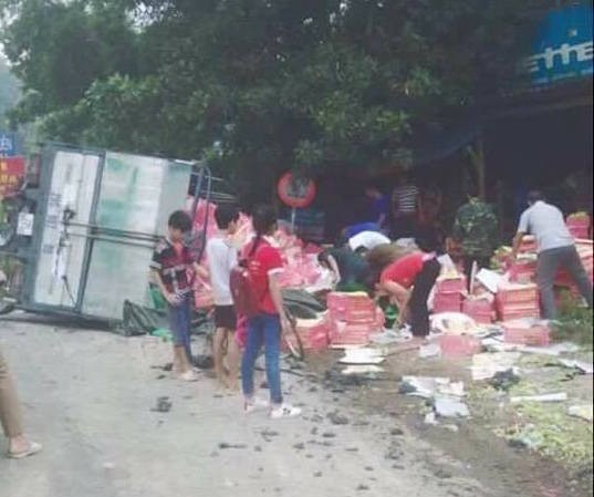 Thực hư chuyện dân đổ xô 'hôi của' từ xe chở nho bị lật Nhân dân xã Nhân Lý giúp thu gom nho rơi ra đường. Ảnh: TLS