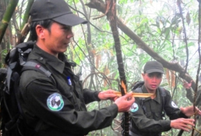 Hạt phó kiểm lâm cùng 4 người dân kẹt lũ nhiều ngày giữa rừng Công tác tuần tra, bảo vệ rừng của lực lượng kiểm lâm, biên phòng luôn đối mặt hiểm nguy tại Khu bảo tồn Sao la, TT-Huế, đặc biệt là vào mùa mưa lũ.