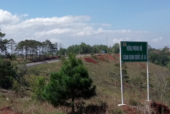 Hai chủ tịch xã bị kỷ luật vì để mất rừng Nhiều diện tích rừng ở Đắk Nông bị tàn phá