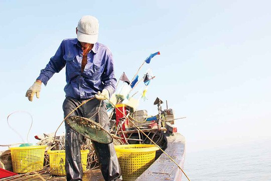 Săn ốc cà na trên biển Gò Công Ngư dân khoe "chiến tích" đầy ốc