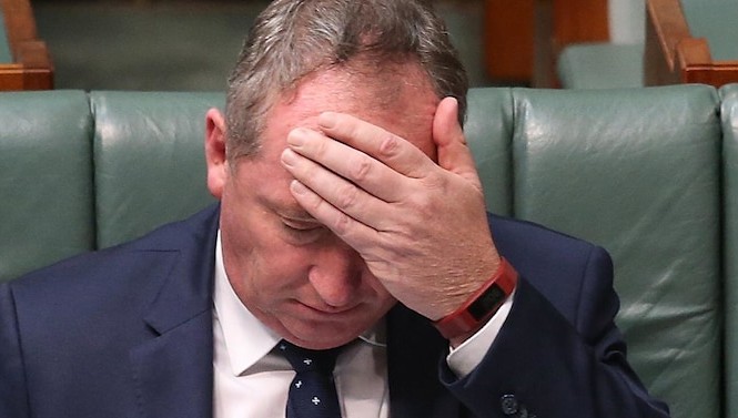 Phó Thủ tướng Úc từ chức vì dính bê bối ngoại tình Phó Thủ tướng Úc Barnaby Joyce. Ảnh: News Corp Australia