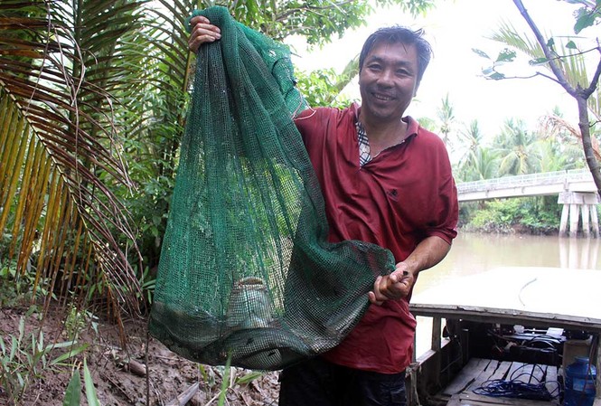 'Quái ngư' miền Tây, liều mình săn cá độc 'đau thấu trời xanh' Anh Đạt được xem là "quái ngư" săn cá ngát