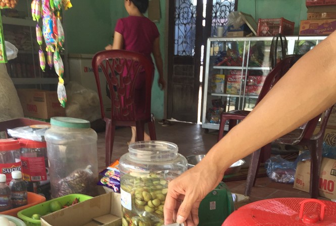 Hà Nội chỉ đạo giải quyết việc dân dùng ruồi chặn xe chở rác Người dân gần khu xử lý rác thải Nam Sơn cho rằng, mùi hôi, chất thải, ruồi muỗi từ bãi rác ảnh hưởng nghiêm trọng đến môi trường sống.
